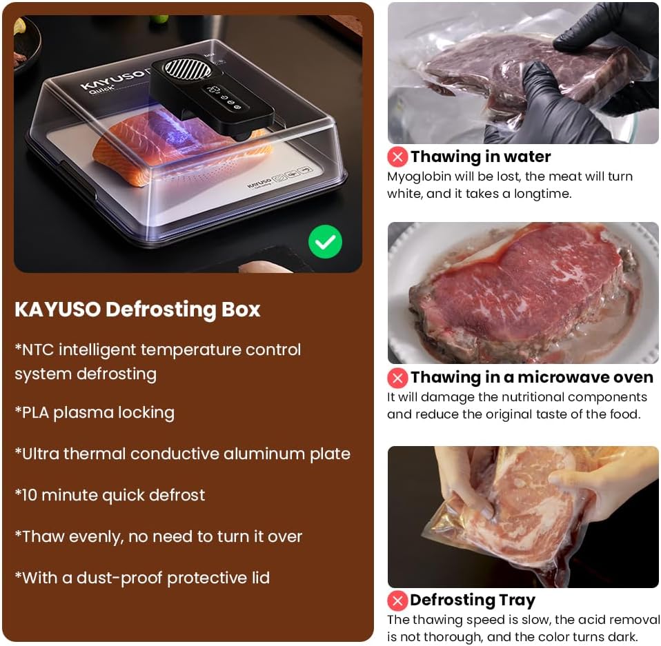 Electric Rapid Meat Thawing Box | 92% Nutrient Retention Technology 🥩✨