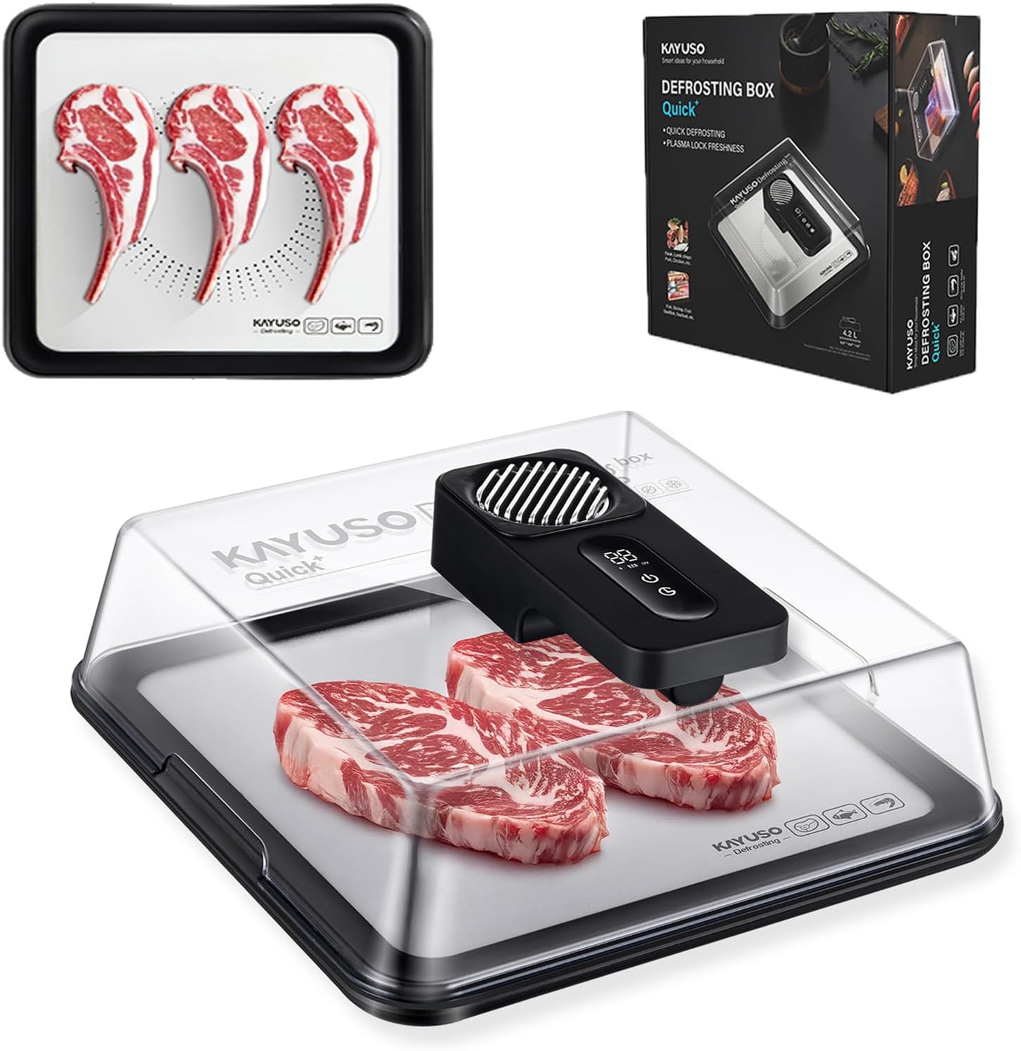 Electric Rapid Meat Thawing Box | 92% Nutrient Retention Technology 🥩✨
