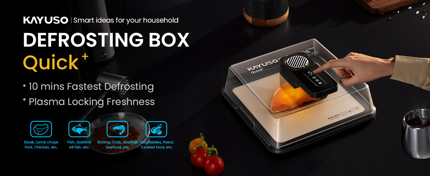 Electric Defrosting Tray