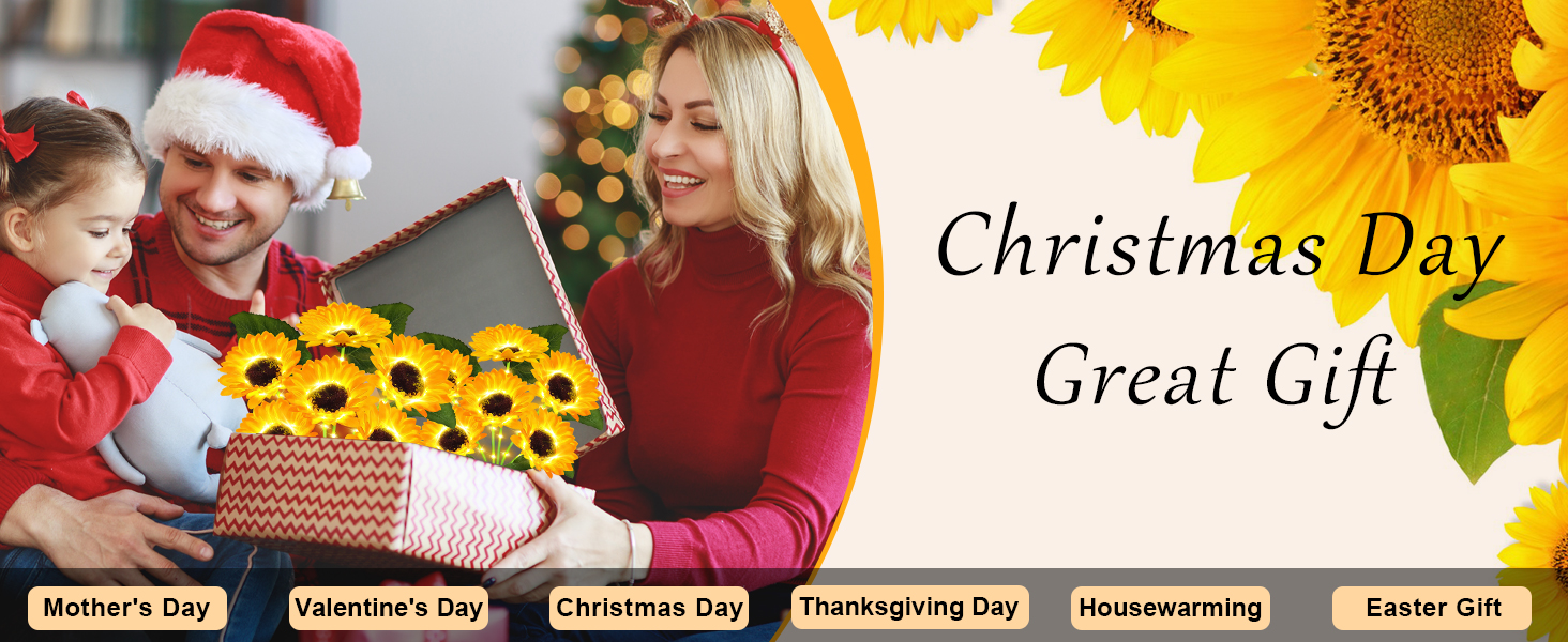 Christmas Gifts