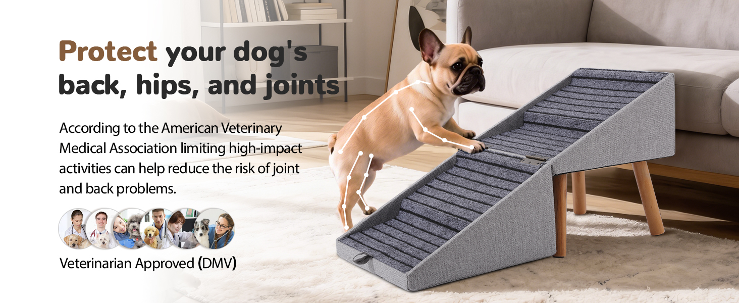 dog steps for couch