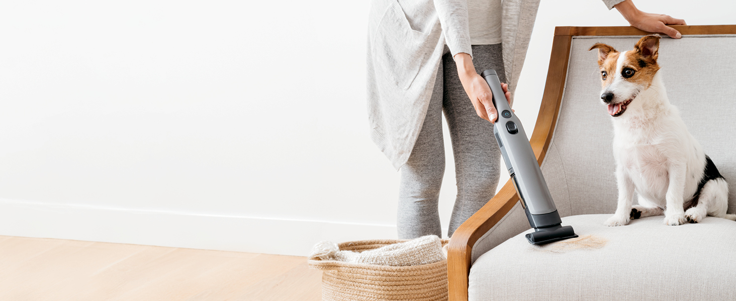 vacuuming up couch with puppy