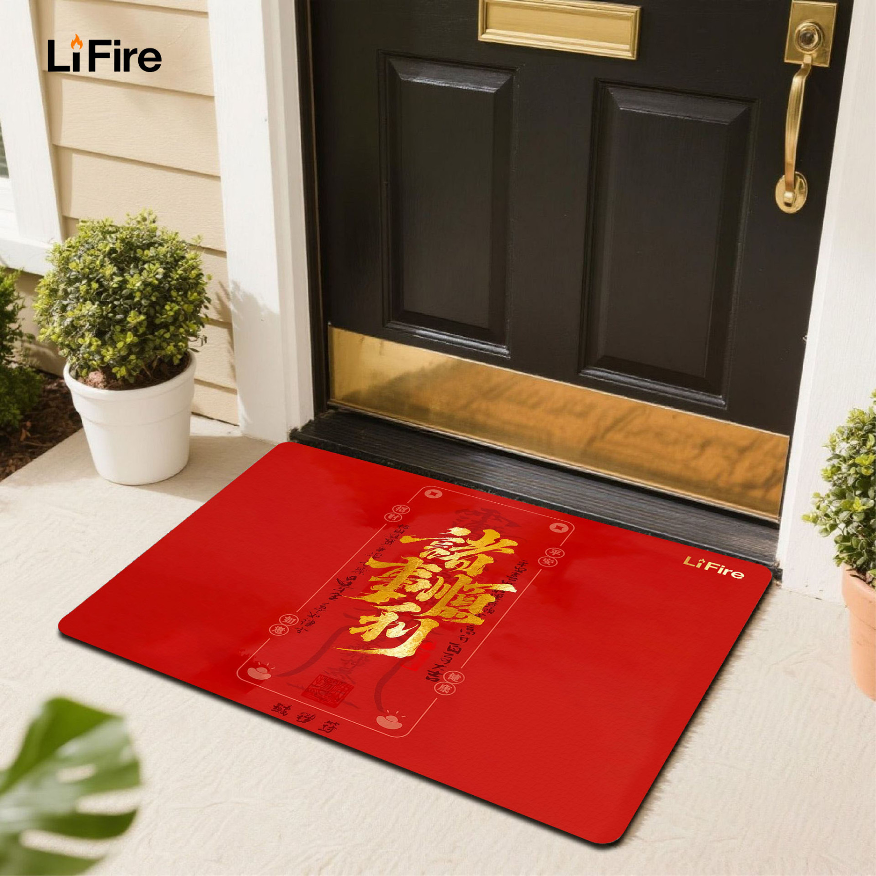 LIFIRE Five Elements Entrance Mat-auspicious themed entrance mat for home decoration