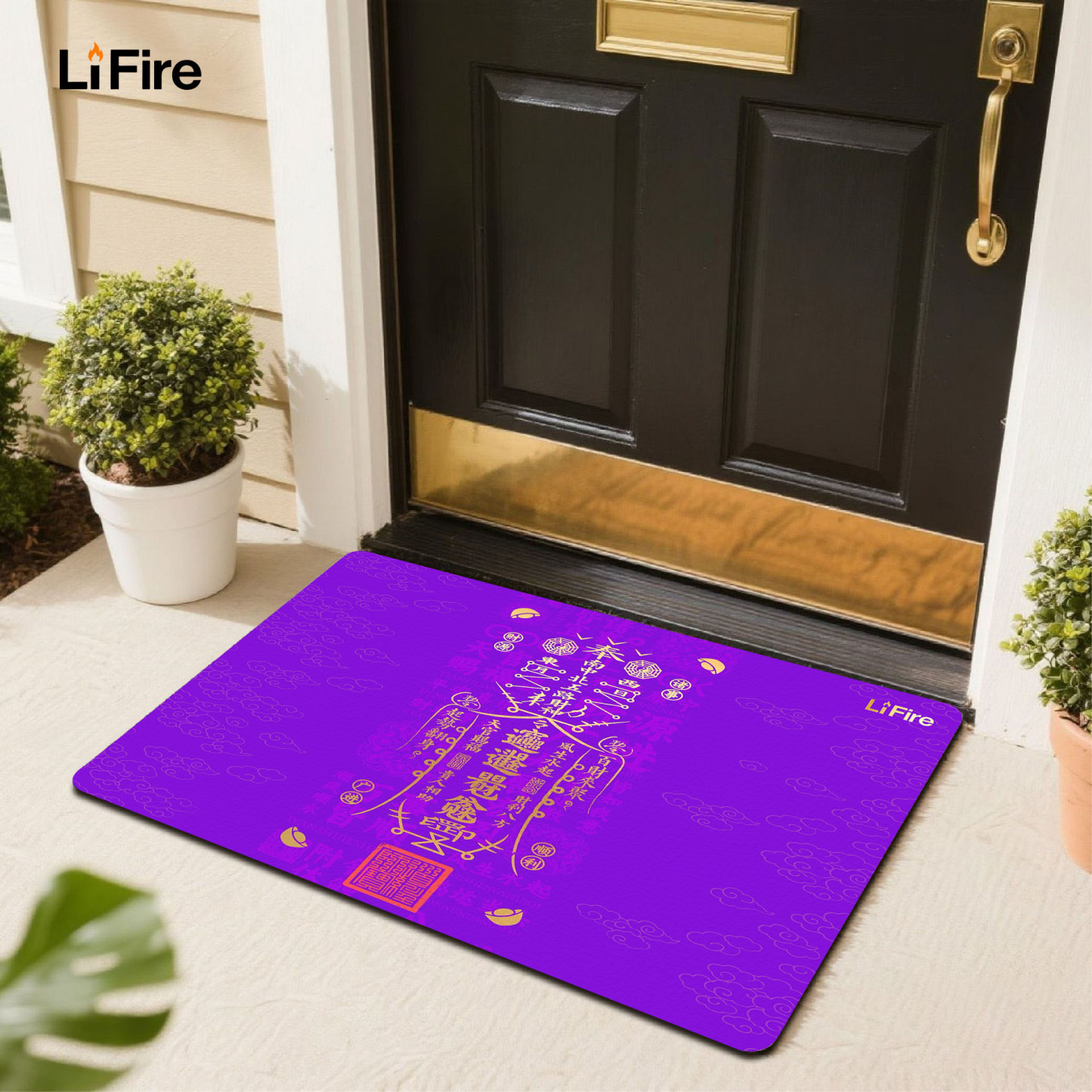 LIFIRE Five Elements Entrance Mat-auspicious themed entrance mat for home decoration