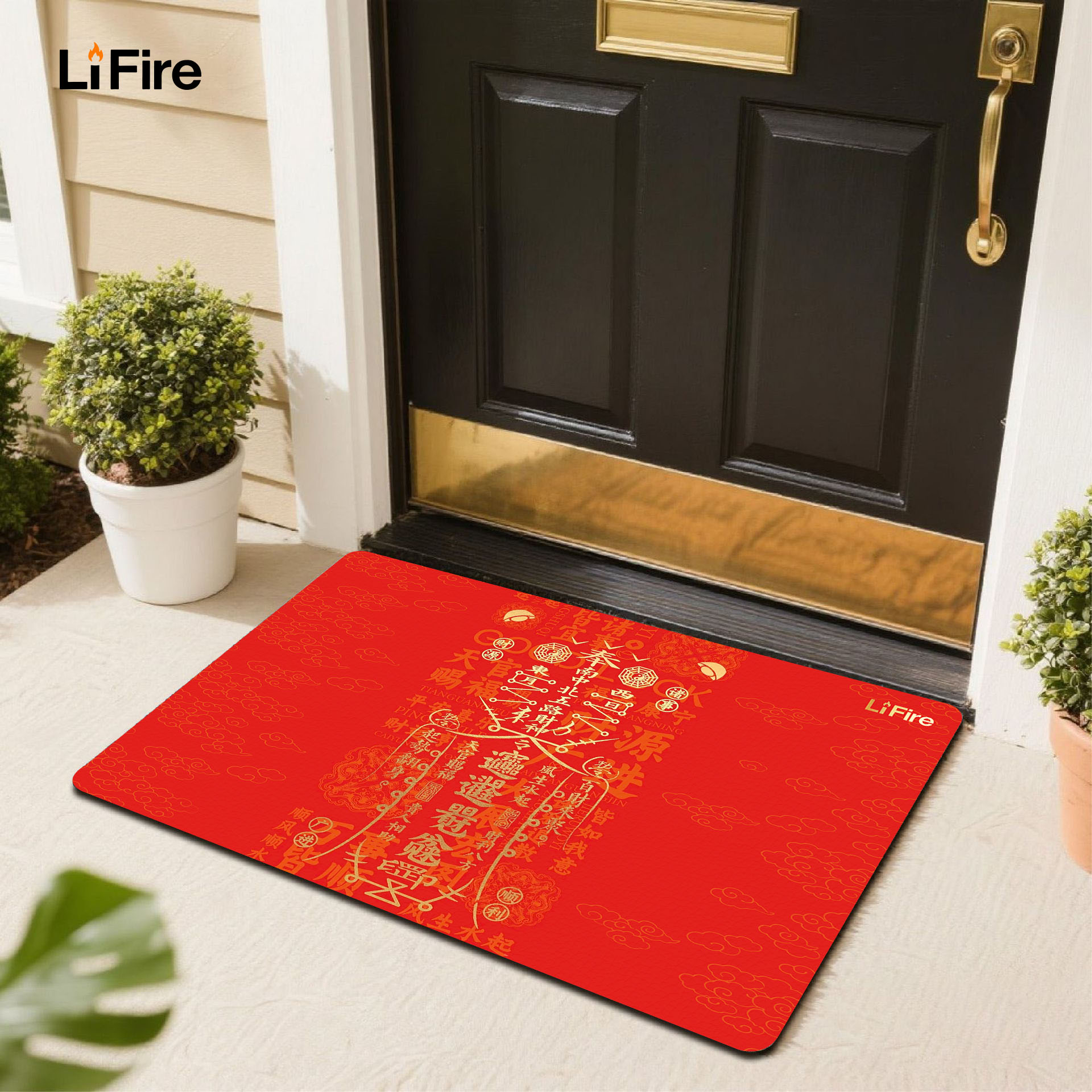 LIFIRE Five Elements Entrance Mat-auspicious themed entrance mat for home decoration