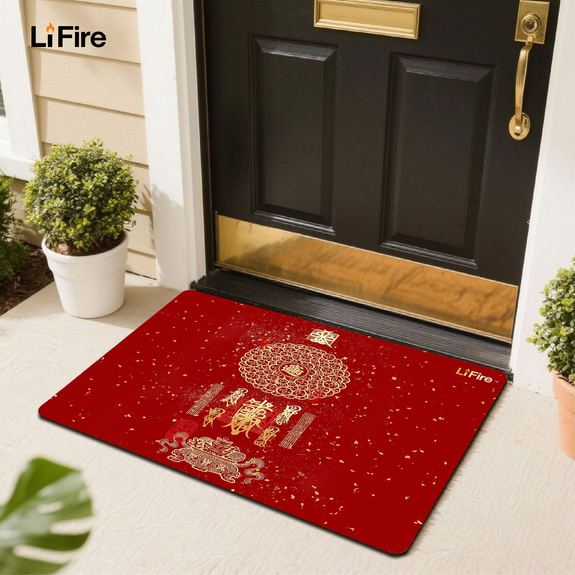 LIFIRE Five Elements Entrance Mat-auspicious themed entrance mat for home decoration