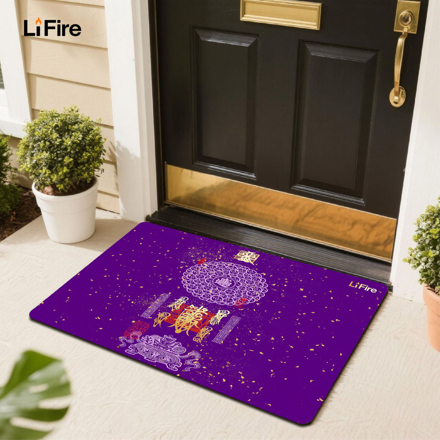 LIFIRE Five Elements Entrance Mat-auspicious themed entrance mat for home decoration