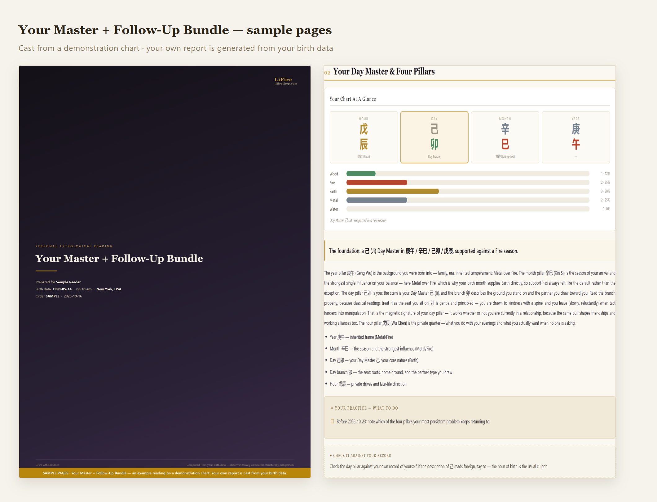 Master + Follow-Up Bundle