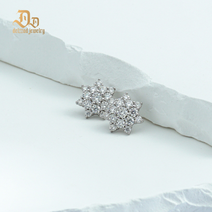 Delzzad S925 Round Synthetic Moissanite Dazzling Star Cluster Studs Earrings Birthday Anniversary Gift Valentine's Day Gifts for Men Women