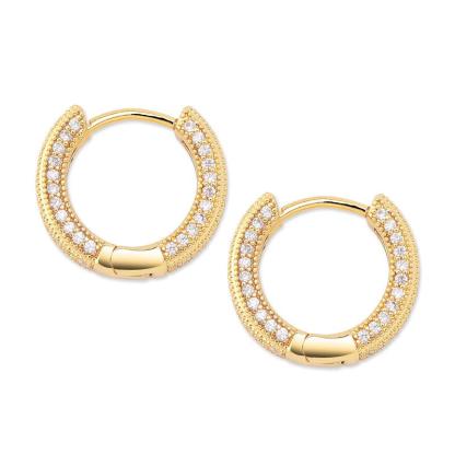 Delzzad S925 Round VVS Synthetic Moissanite Iced Hoop Earring Birthday Valentine's Day Gifts for Men Women