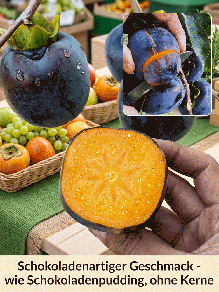 Entdecken Sie die Schokopersimone! 🍫✨ Diese außergewöhnliche Frucht überzeugt durch ein butterweiches, honigsüßes Fruchtfleisch mit einer feinen Kakaonote. 😋