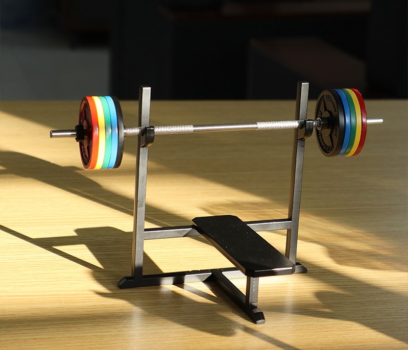 Mini Bench Press Rack