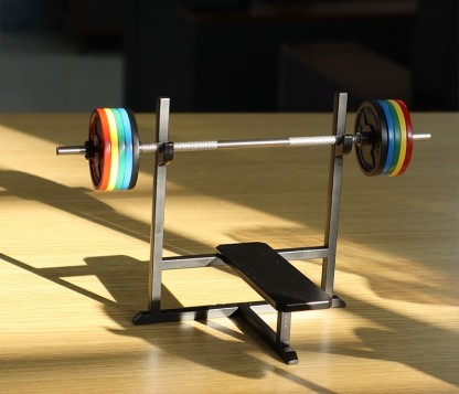 Mini Bench Press Rack