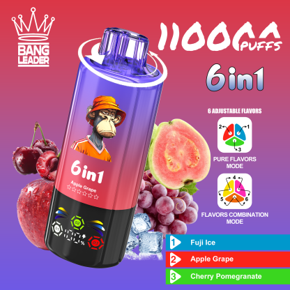 BANG LEGEND 110000 Puffs 6 in1 Flavor Disposable Vape