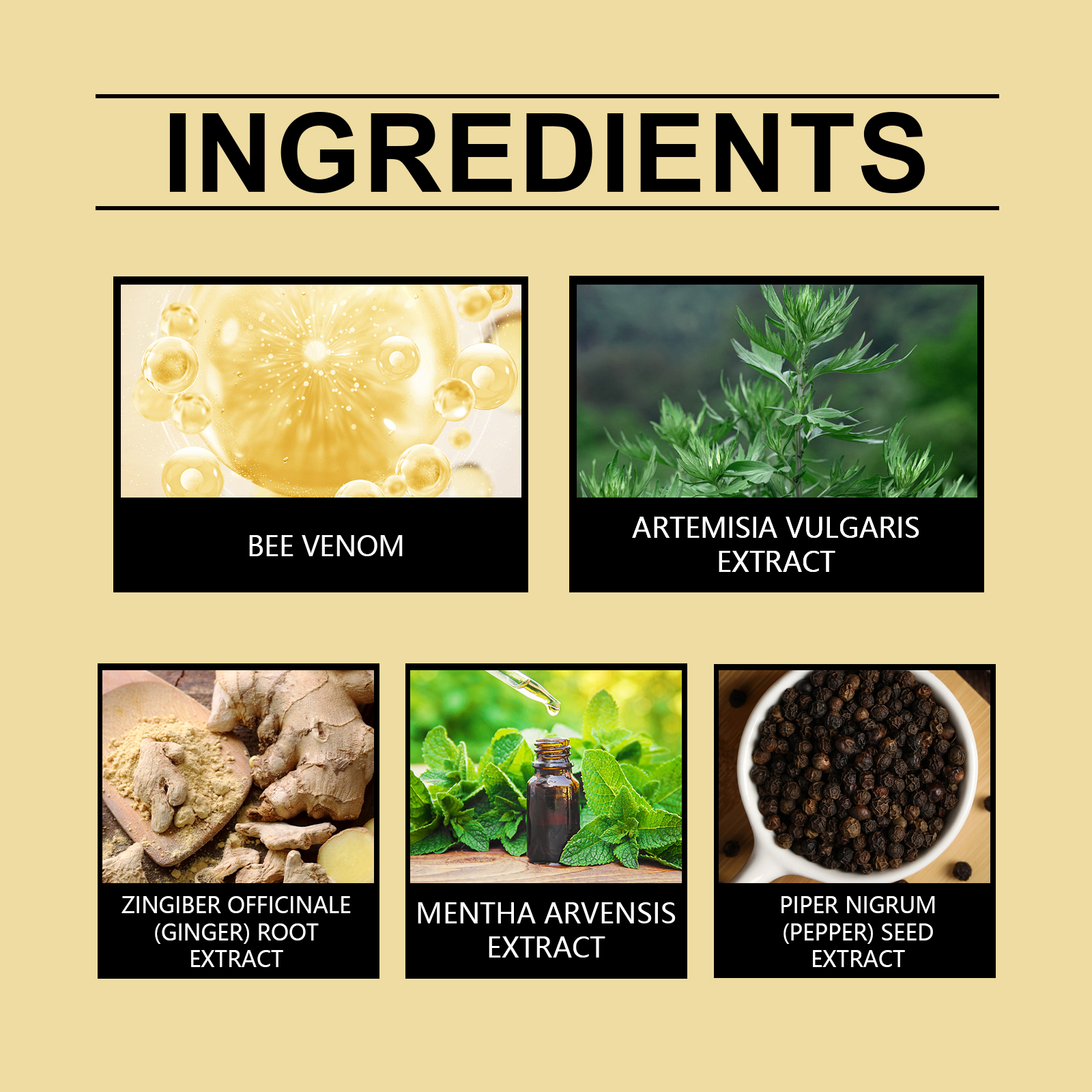 Bee Venom Body Shaping Patches