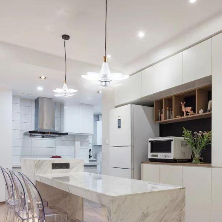 Household Ceiling Fan with Light and Remote Control - clarioy