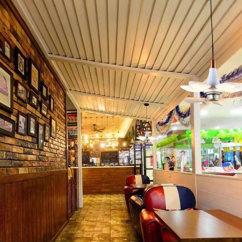 Household Ceiling Fan with Light and Remote Control - clarioy