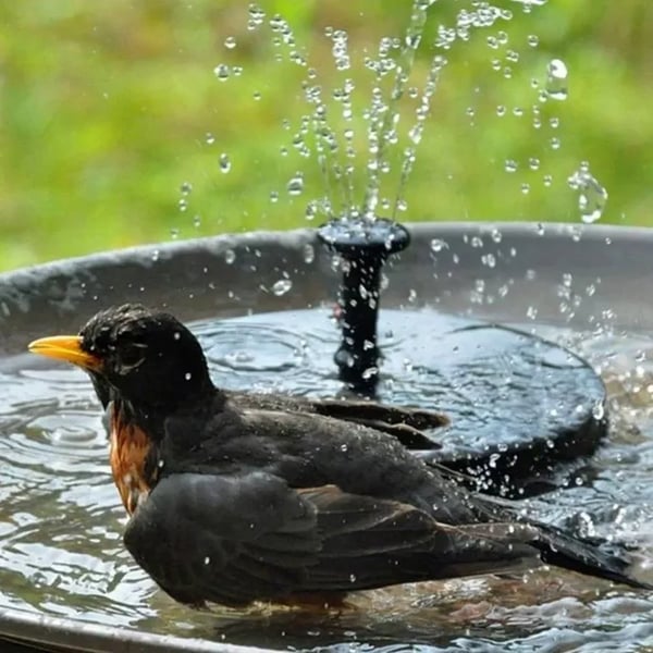 Solar-powered floating fountain