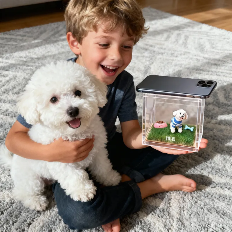 Pet Cartoon Holographic Lumina Boxes High-Transmittance Holographic Material Image DIY Pet Holographic House For Dogs/Cats