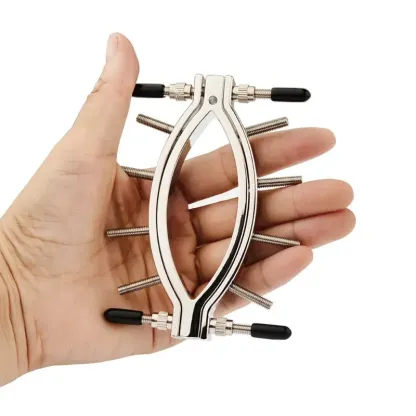 Surgical Steel Clit Clamp Nipple Clamps for Women 8 Screw Adjustable BDSM Nipple Clamps Labia Clamps for Nipple Play and Vaginal Teasing