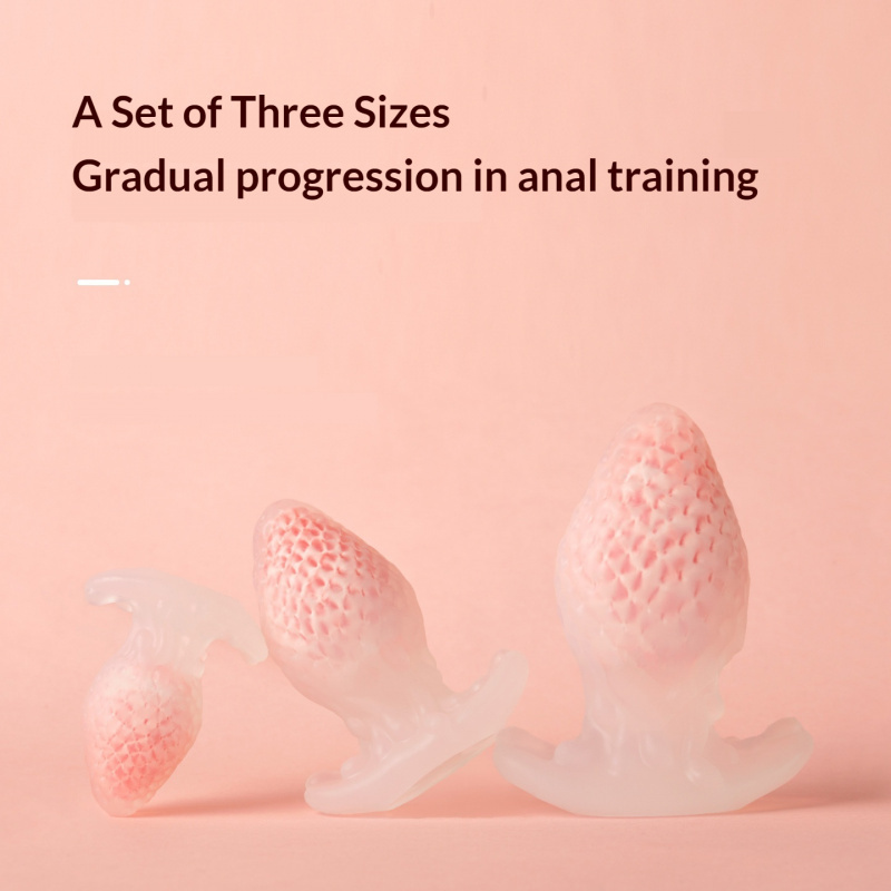 3 Pcs Strawberry Butt Plug for Women Wearable Beginner Friendly Anal Training Kit Sensual Adult Toy