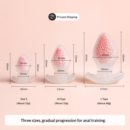 3 Pcs Strawberry Butt Plug for Women Wearable Beginner Friendly Anal Training Kit Sensual Adult Toy