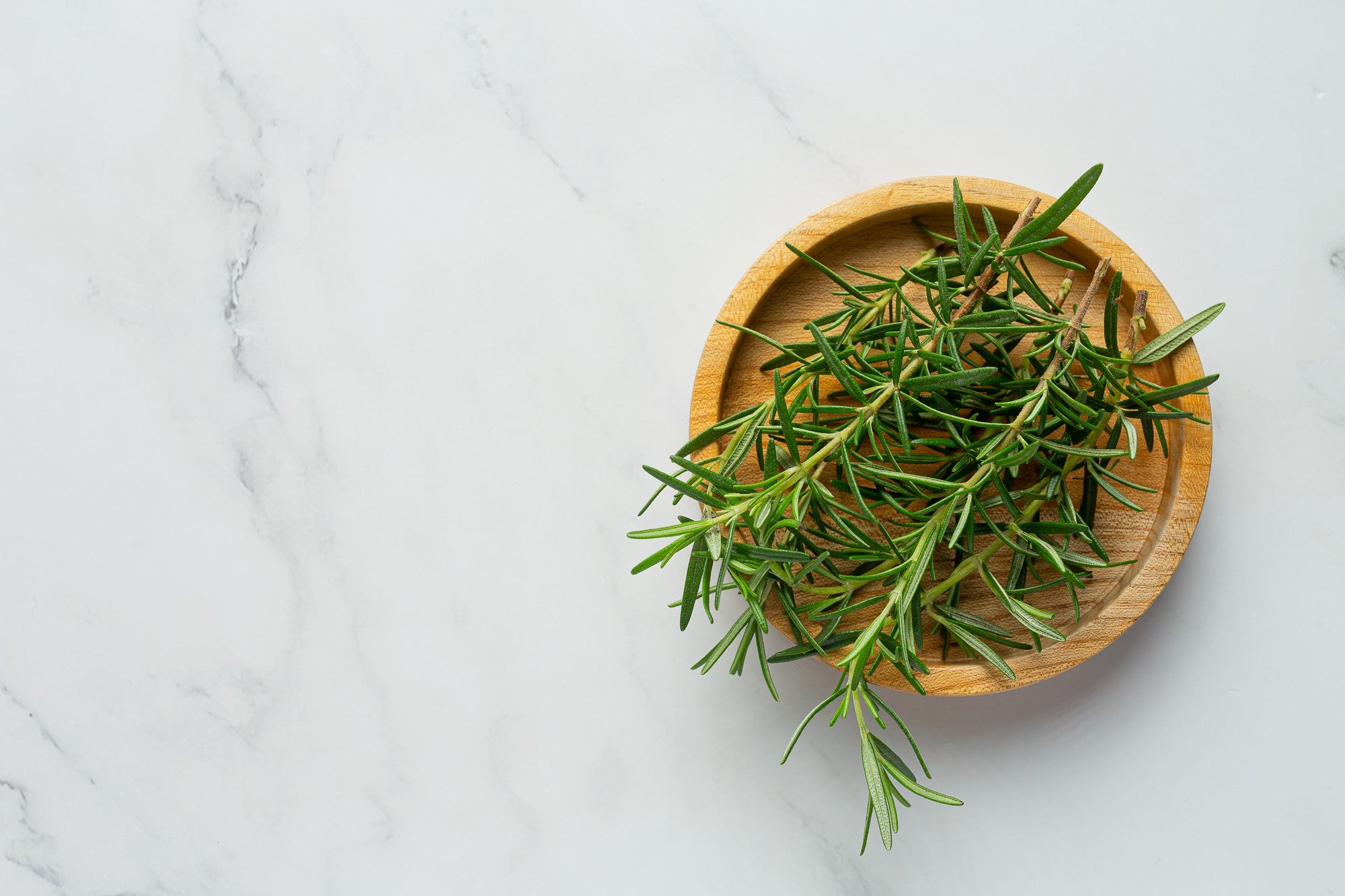 The Benefits of Rosemary for Your Dog-Ambeezy's Organic