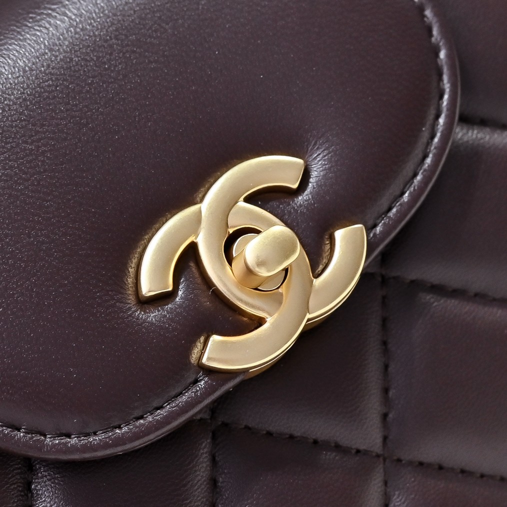 CHANEX 245P Kelly Chocolate Bag