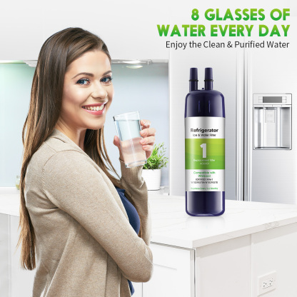 AO01 Replacement Refrigerator Water Filter for EDR1-RXD1 W11602565 W10295370A P8RFWB2L 9081 Filter 1 Whr1rxd1