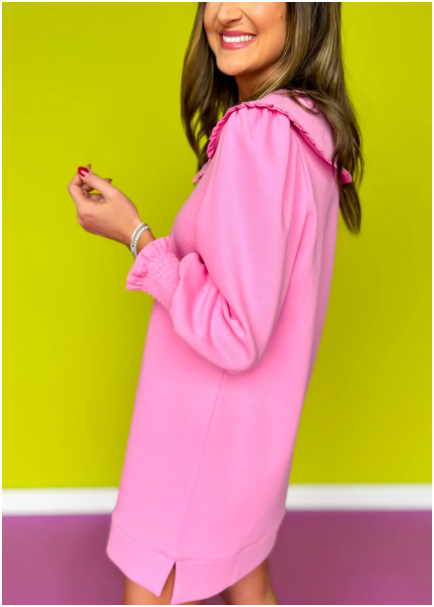 Pippa Long Sleeve Dress