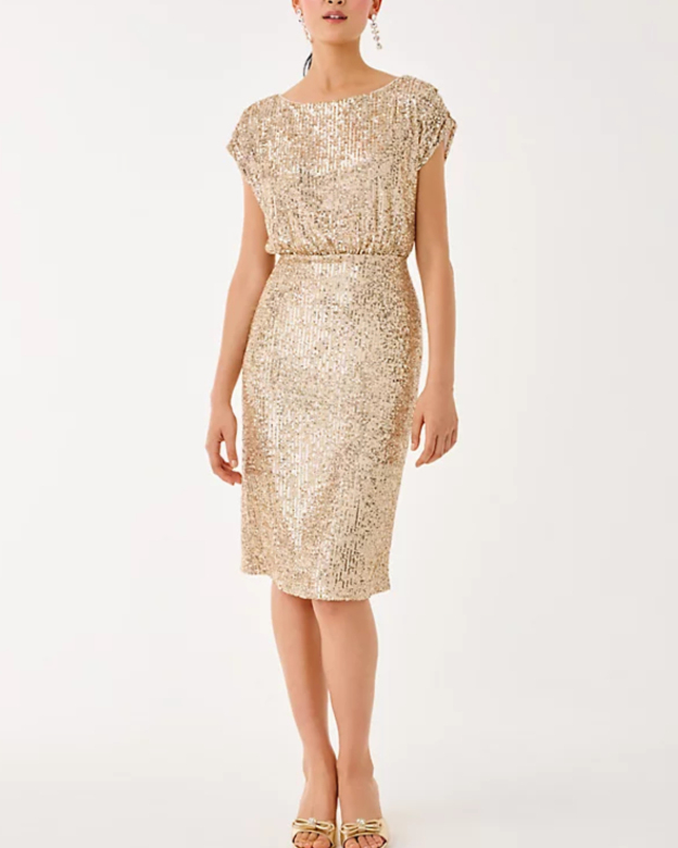 Eileen sequined midi dress