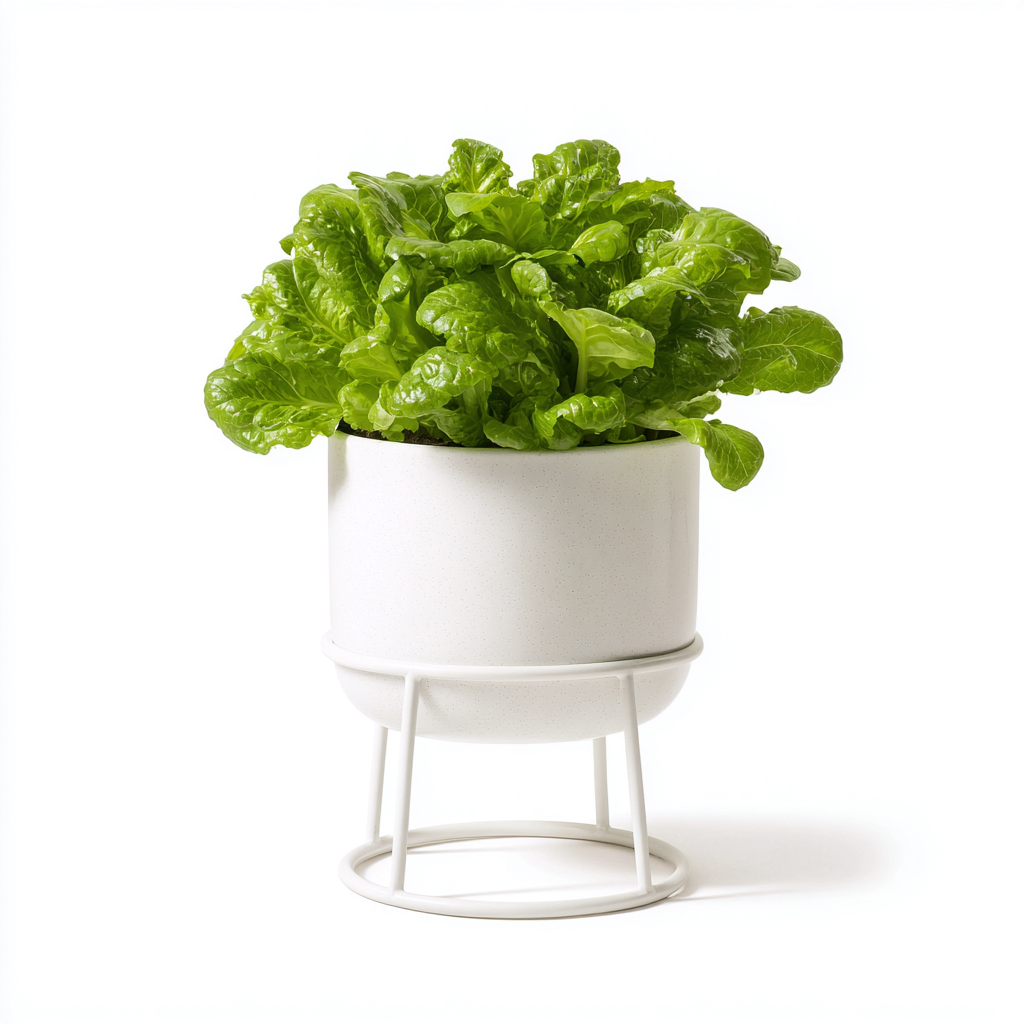 Pots Et Supports De Plantes Métal 20X20X28 Cm - Blanc - Pot Rond Avec Support - Style Moderne-Nestlearo