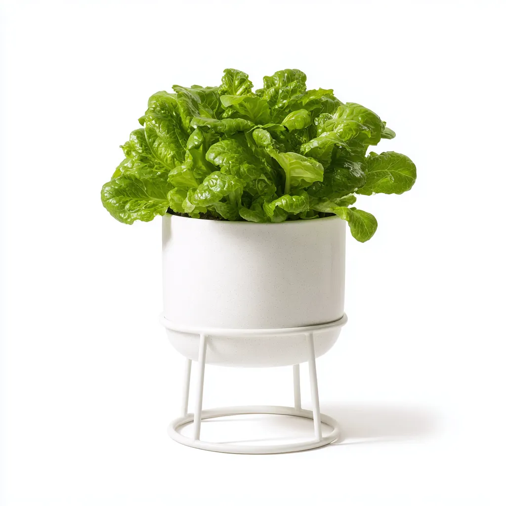 Pots Et Supports De Plantes Métal 20X20X28 Cm - Blanc - Pot Rond Avec Support - Style Moderne-Nestlearo