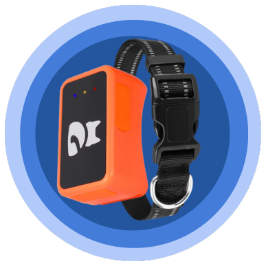 Copy of PRODUCT FEATURES HERO IMAGE (3).png__PID:04c1c575-da67-4329-ae9b-3a04b4b37e2a