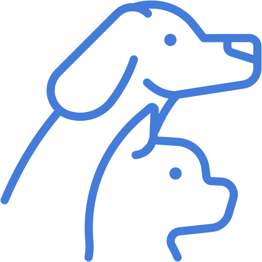pet (1).png__PID:d3bf4646-4b29-42b4-a007-5e7f074e896f