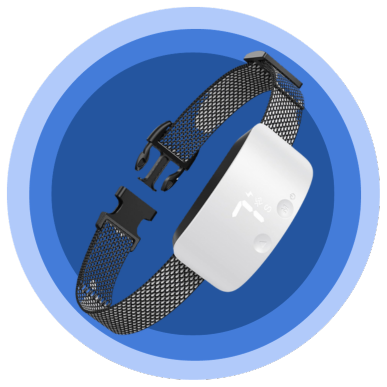 PRODUCT FEATURES HERO IMAGE (11).png__PID:d2d5c54f-9d0d-44d7-8a7c-a9edf08ab891