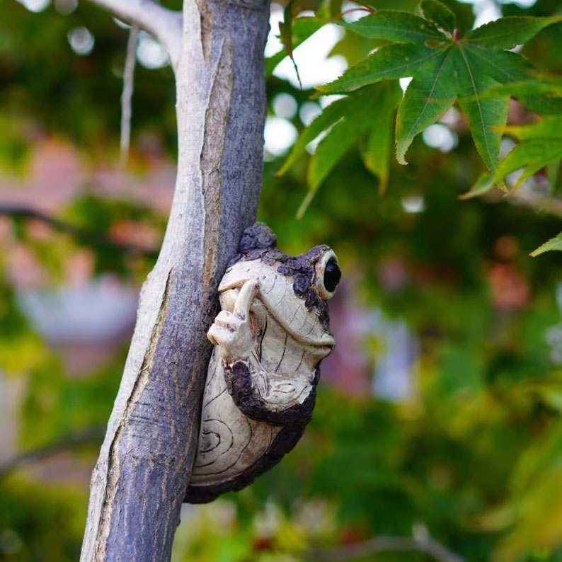 Adorable Frog Tree Peeker