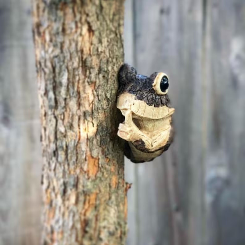 Adorable Frog Tree Peeker