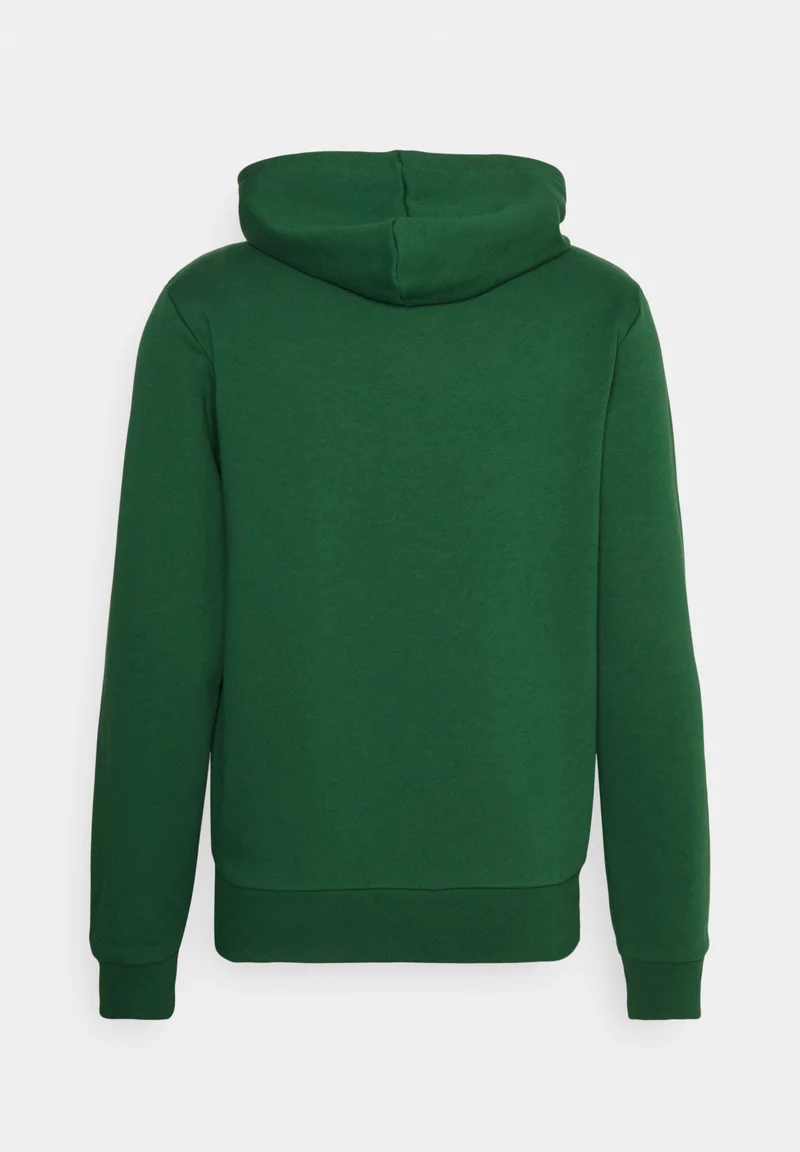 LIFESTYLE UNISEX - Sweat à capuche - vert