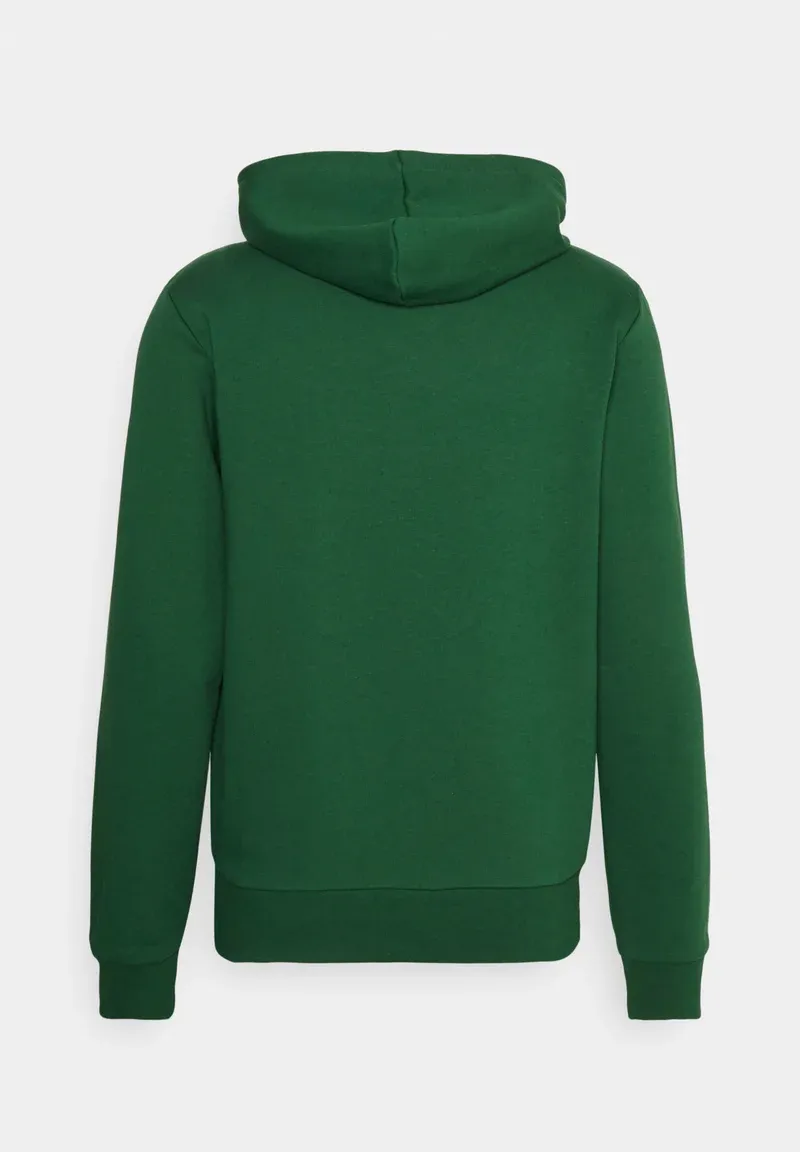 LIFESTYLE UNISEX - Sweat à capuche - vert