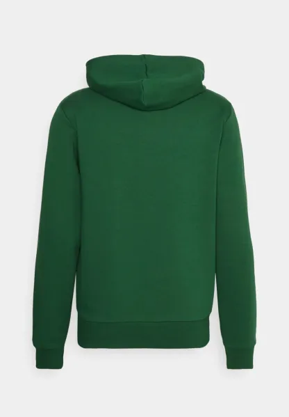 LIFESTYLE UNISEX - Sweat à capuche - vert