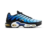 Air Max Plus