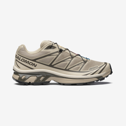 Saltheomon XT-6 Brown
