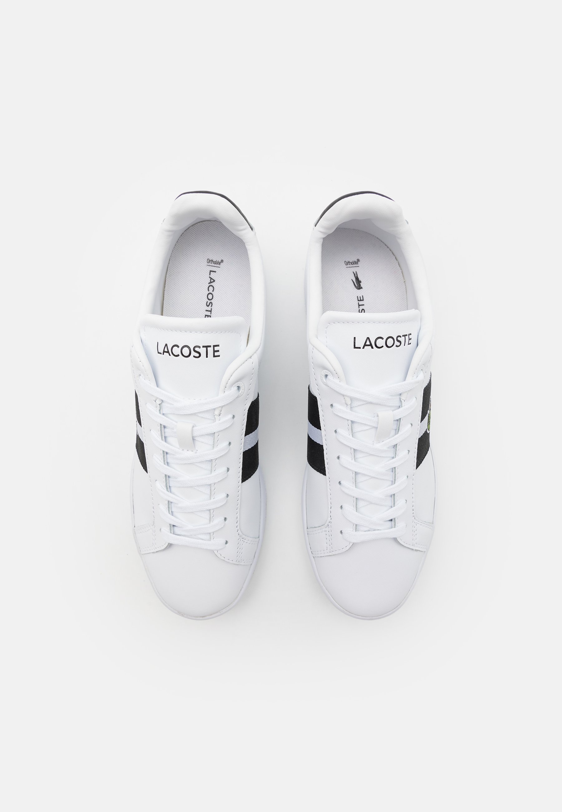 Lacoste CARNABY PRO - Baskets basses
