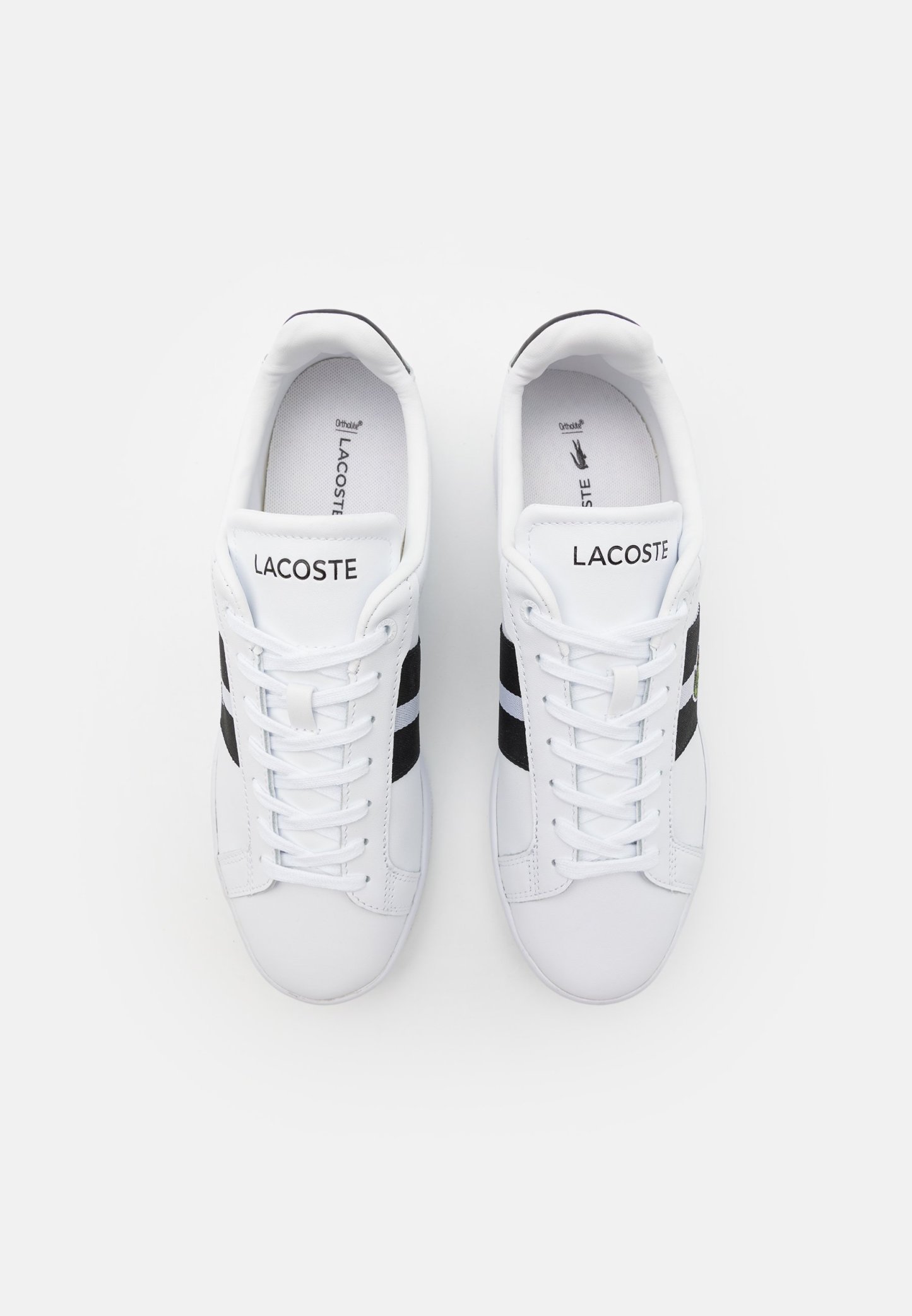 Lacoste CARNABY PRO - Baskets basses