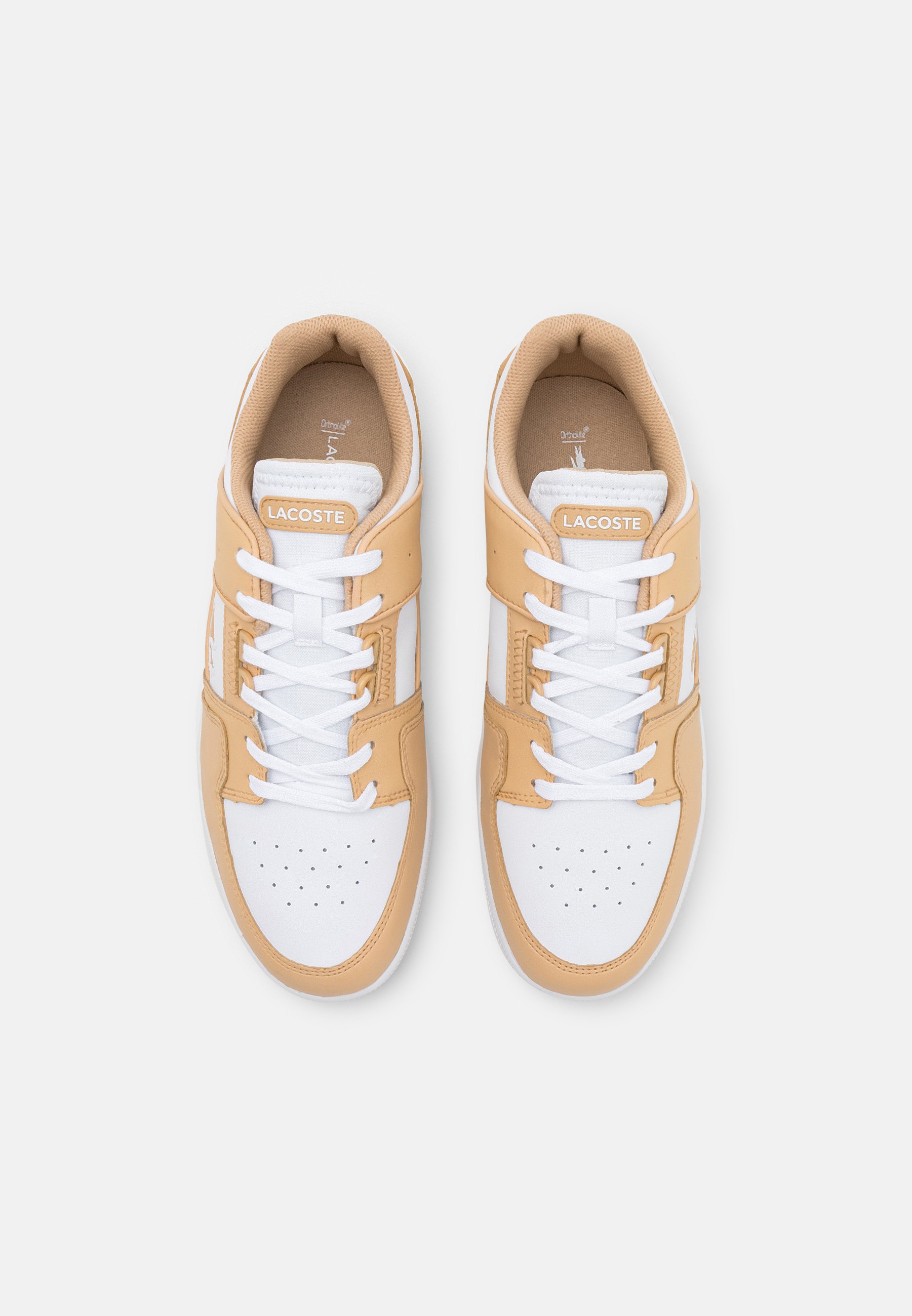 Lacoste COURT CAGE - Baskets basses