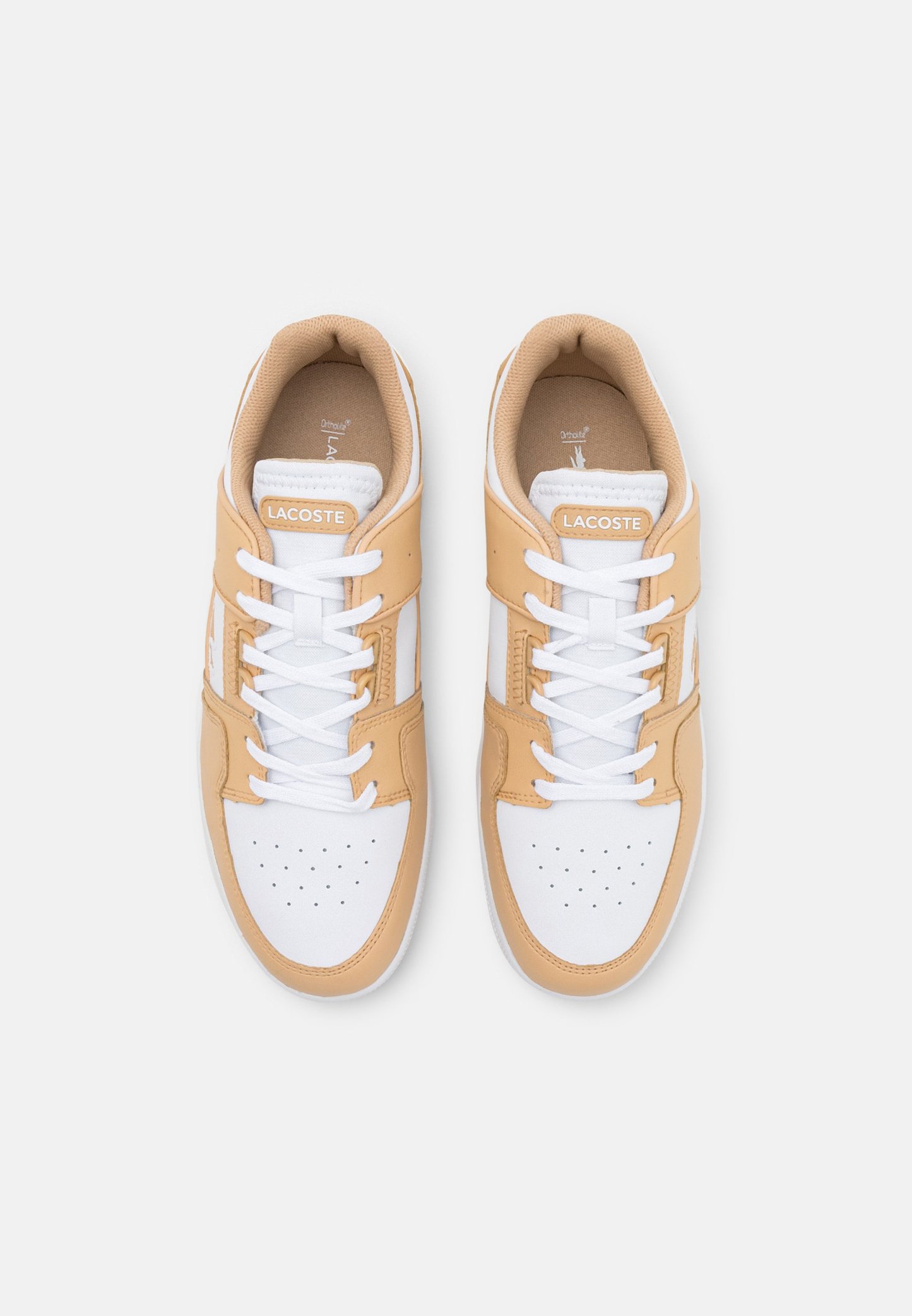 Lacoste COURT CAGE - Baskets basses