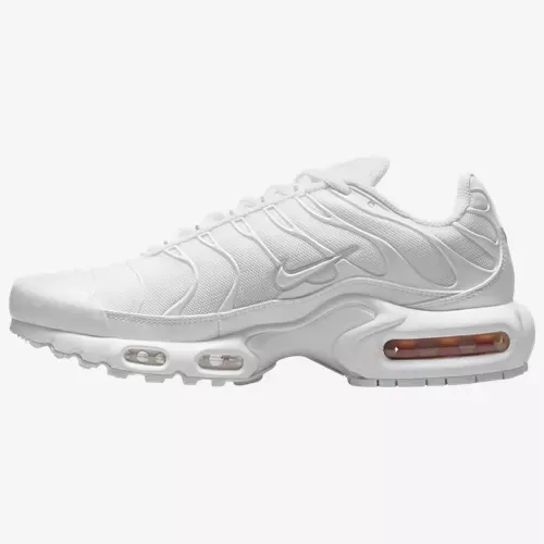Air Max Plus