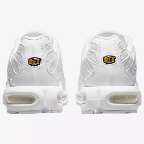 Air Max Plus