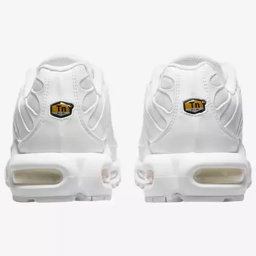 Air Max Plus